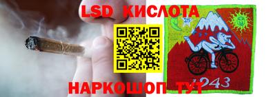 PSILOCYBIN Новозыбков