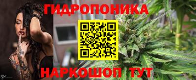 PSILOCYBIN Новозыбков