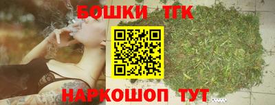 гашик Новокубанск
