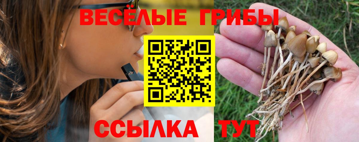 Галлюциногенные грибы прущие грибы Сердобск